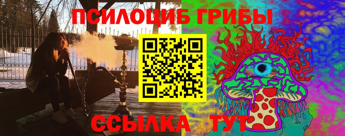 Галлюциногенные грибы ЛСД  Вход с VPN  Новокубанск 