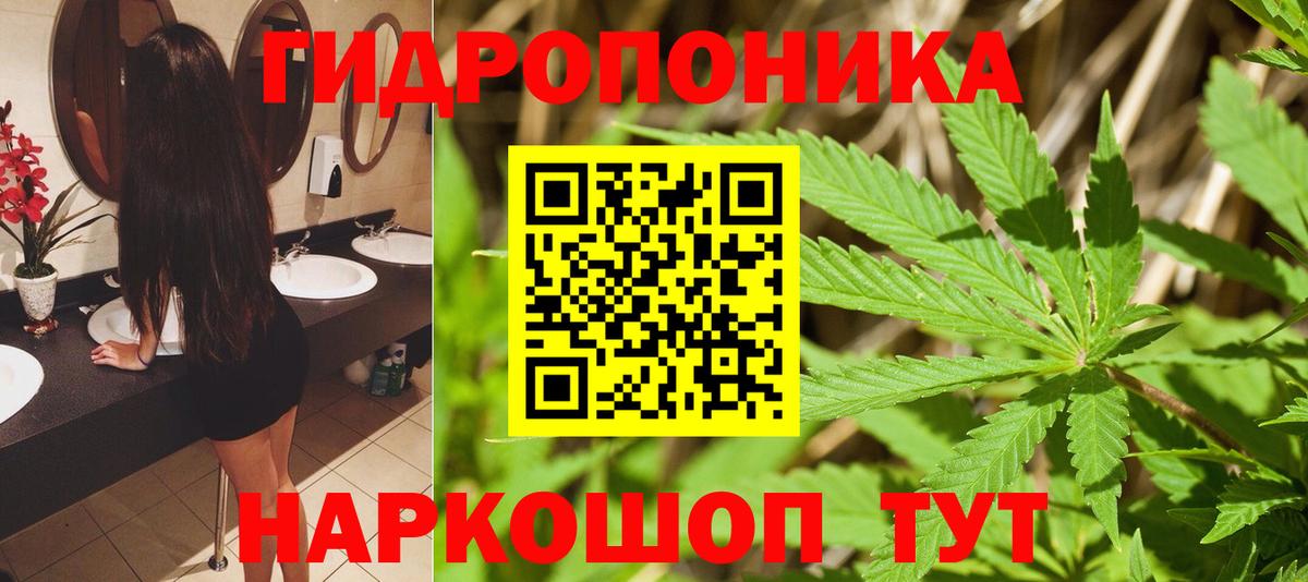 Шишки марихуана тримм  Канабис SATIVA & INDICA  Вход с VPN  Новокубанск  Канабис ГИДРОПОН 